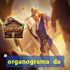 organograma da cacau show